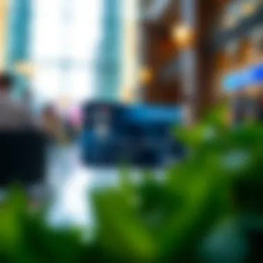 Citi Visa Benefits Infographic