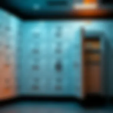 A conceptual illustration representing wealth management through safe deposit boxes.