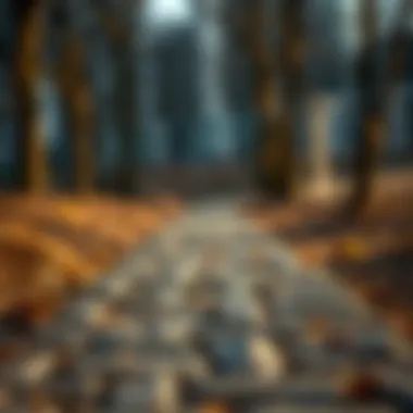 A pathway symbolizing the journey of business transformation