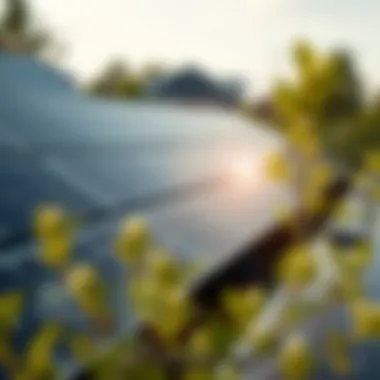 Infographic showcasing government incentives for solar energy adoption