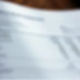 Detailed overview of a Wells Fargo bank statement layout