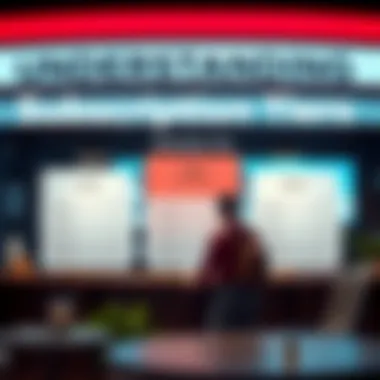 Visual representation of subscription tiers