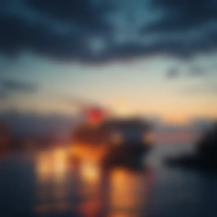 Future Prospects of the Cruise Industry Future prospects of the cruise industry