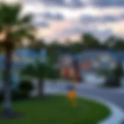 A serene Florida neighborhood showcasing various homes