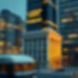 Overview of New York Municipal Money Market Fund