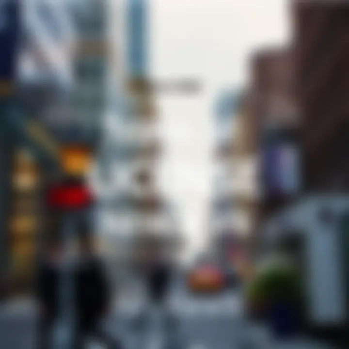 Types of Business Licenses in New York Graphical representation of types of business licenses in New York