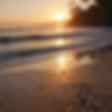 Stunning beach view in Costa Rica during sunset