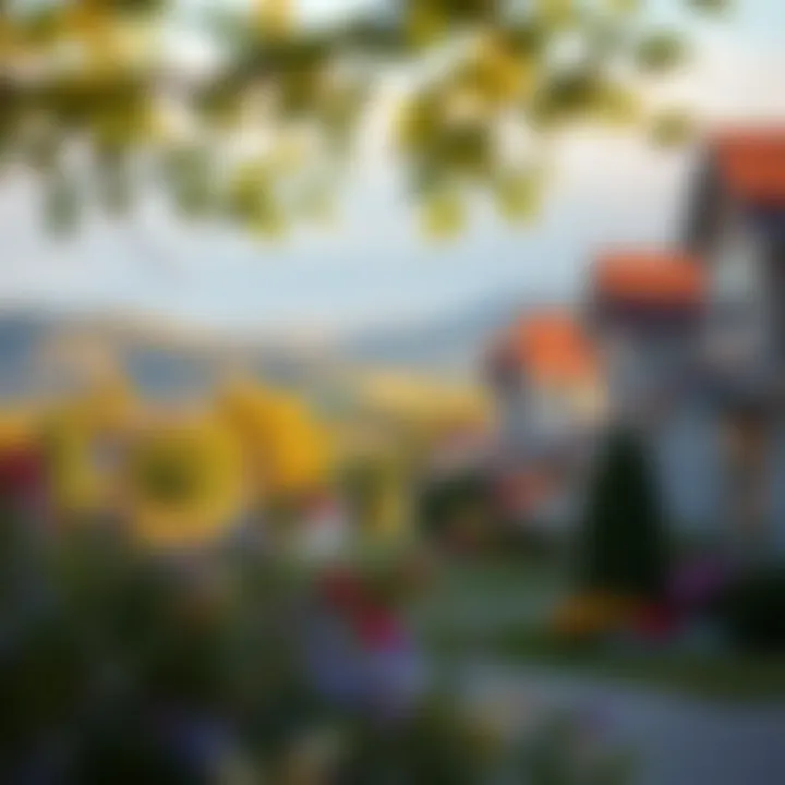 Scenic view of a peaceful retirement community