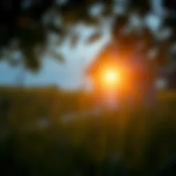 Visual representation of USDA refinancing options